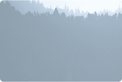 উমাইয়া খিলাফত