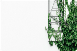 উমার (রা.)