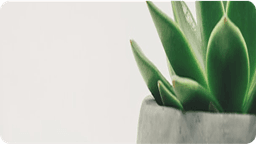 কিভাবে সহানুভূতি ও দয়া প্রদর্শন করতে হয়। তাঁর উদাহরণ অনুসরণ করে আমরা সমাজে ইতিবাচক পরিবর্তন আনতে পারি।