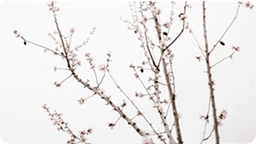  তাঁর উদাহরণ আমাদেরকে সঠিক দিকনির্দেশনা দেয়।